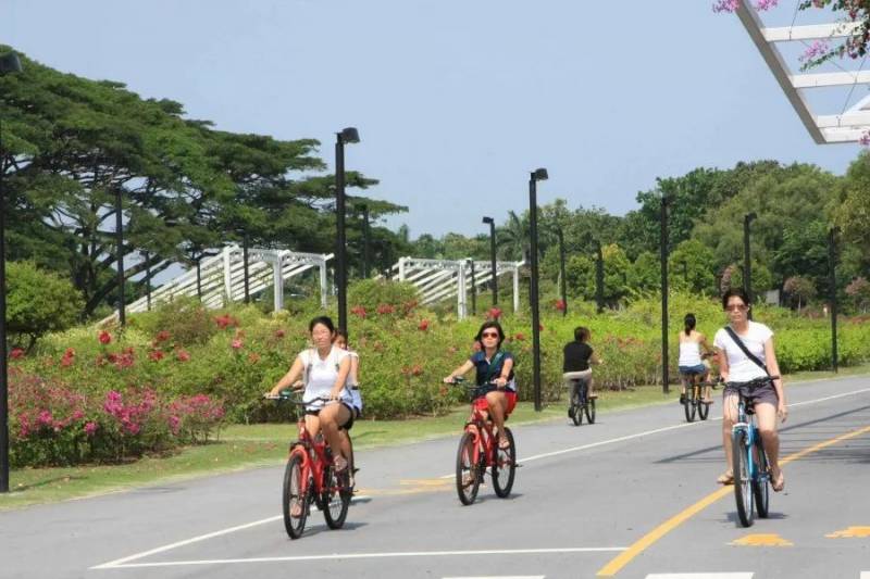 13個新加坡最好玩的公園！野餐，徒步，釣蝦，捕螃蟹