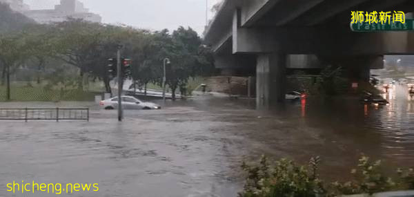 新加坡大暴雨：马路变河、草坡变瀑布！25人被困，1人送医