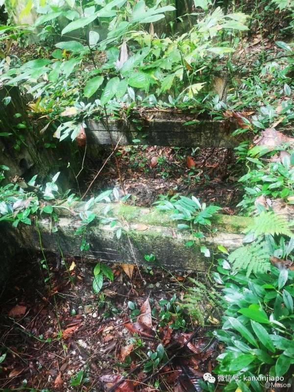 勇闯麦里芝被遗忘的神社，狂风暴雨下惊险求生