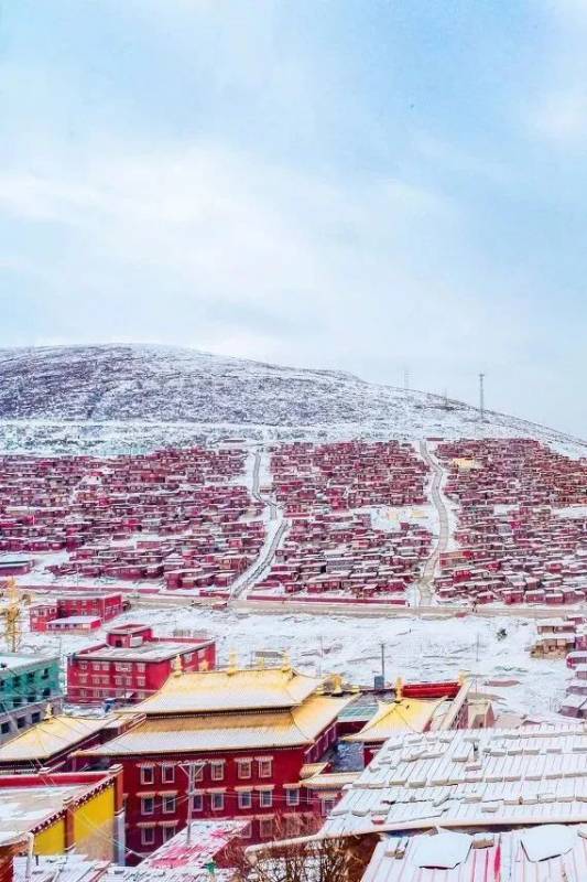 刷屏！中国下了第一场雪，我在新加坡酸了