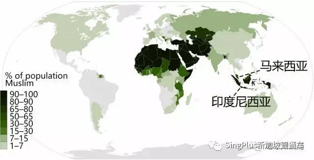 穆斯林到底能不能接种新冠疫苗？新加坡率先给出了答案