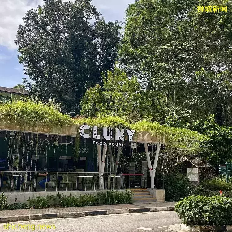 全新花园食阁Cluny Food Court🌳坐落在新加坡植物园！环境明亮通风、品尝道地美食🤩 