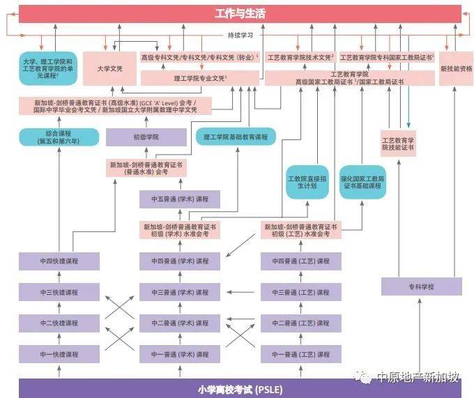 入读新加坡中学一点都不难！点进这篇文章就对了