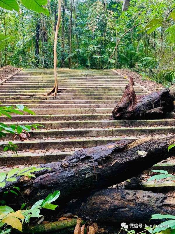 勇闯麦里芝被遗忘的神社，狂风暴雨下惊险求生