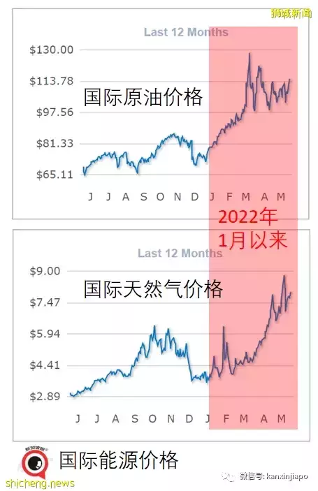 全面涨价！新加坡的食品、电气、粮油...还会更贵；新元兑人民币汇率微跌回升