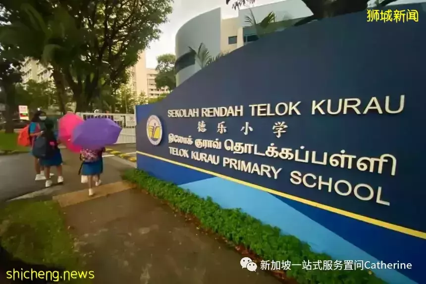 想进政府学校的看过来：新加坡学生的升学途径