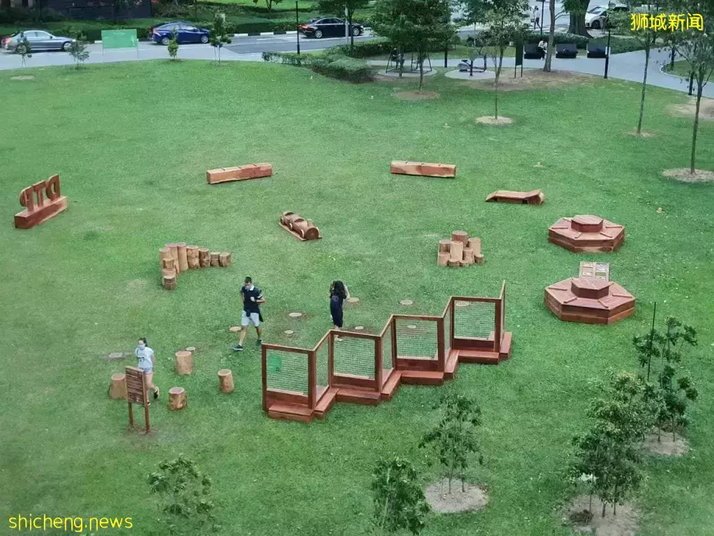 小空地大改造！丹戎巴葛全新生态游乐场🌳小朋友可以尽情玩耍，还能带狗狗前来自由狂奔👣 