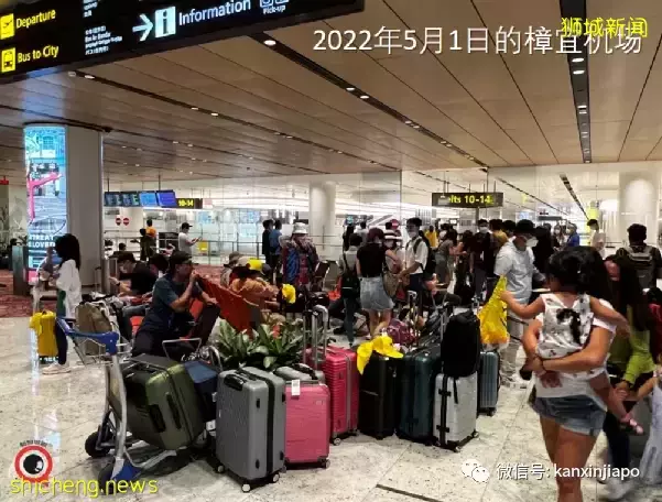 新航千人大招聘，机场T2重开；更多国家对新加坡旅客放宽入境