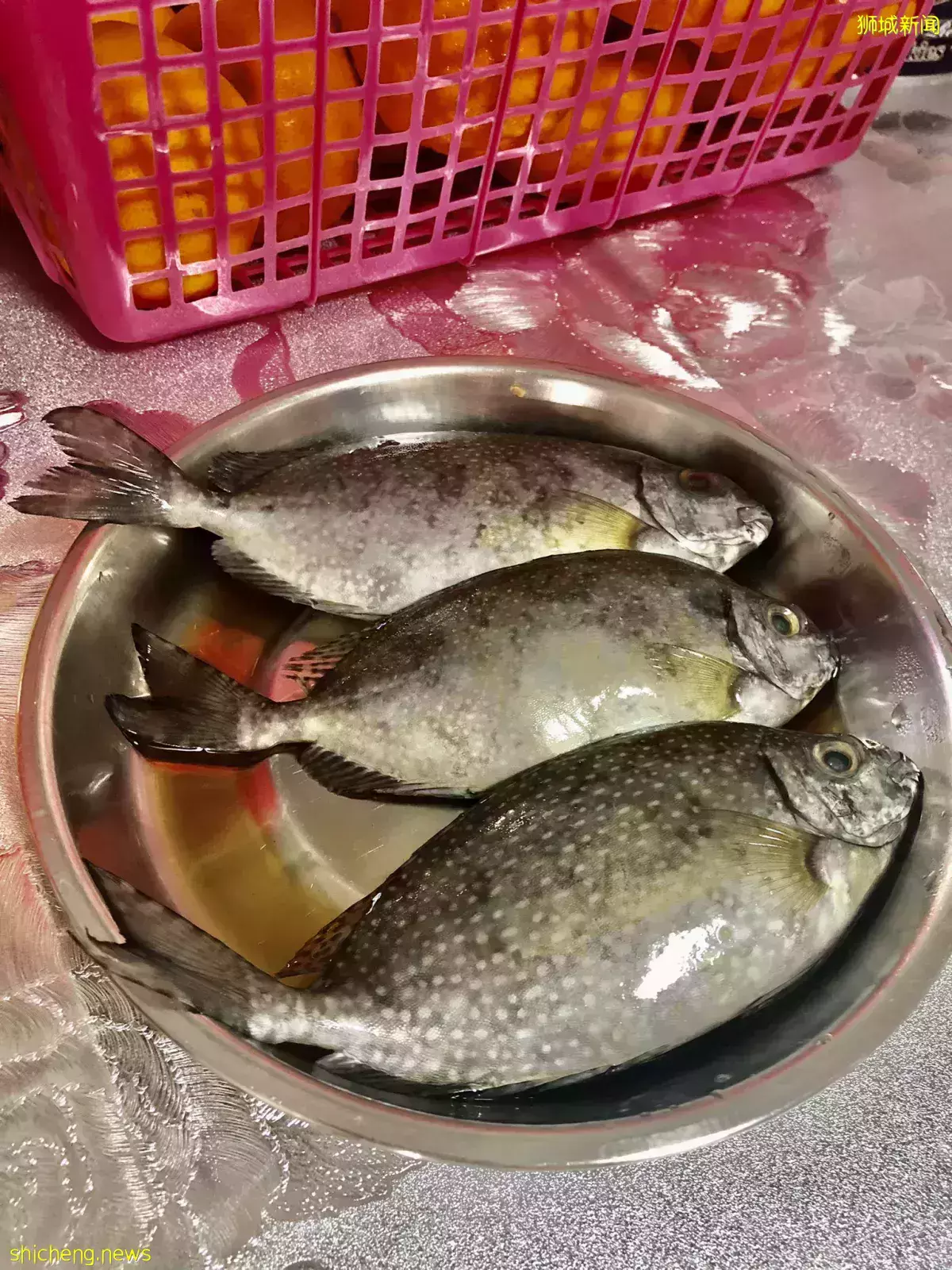 魚商： “發財魚”白肚魚大年初二仍熱賣 價格開始回落