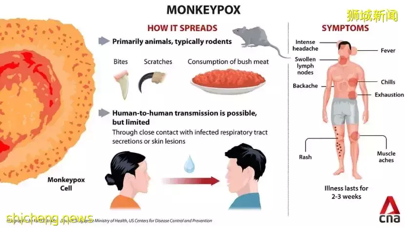 专家曝新加坡将出现猴痘感染群！首起病例曾去马来西亚