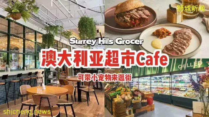 “Surrey Hills Grocer”澳大利亚风格的超市+Cafe新店🛍宠物友好，带着小动物来逛街