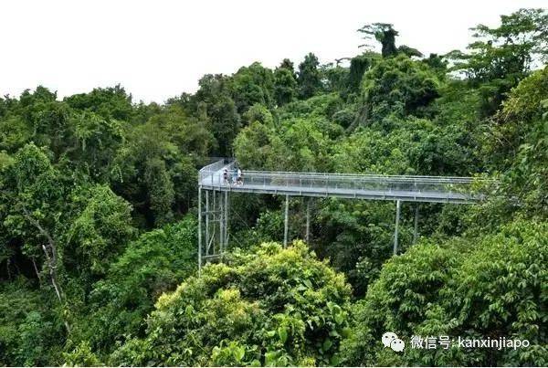 帶你逛南部山脊徒步路線，別錯過這7個自然景觀