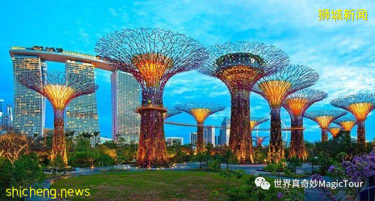 新加坡 帶您走進新加坡濱海灣花園