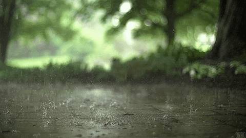 今天，新加坡被大暴雨淹沒了!