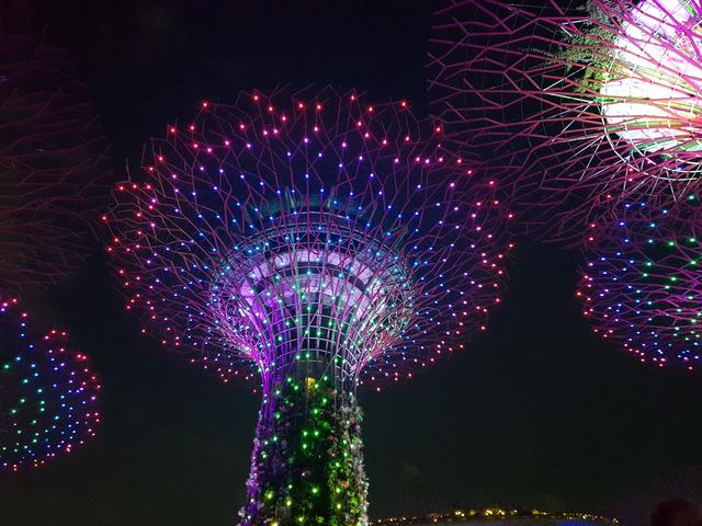 新加坡旅行体验官游记，来到滨海湾金沙，感受新加坡最繁华的夜晚