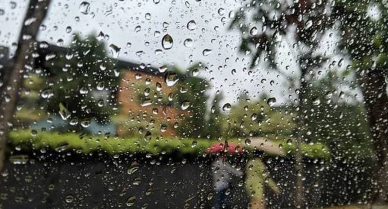 未来两周降雨量料比上半个月低