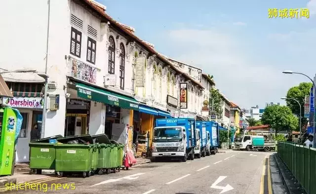 发达的新加坡，竟然随处可见小动物！新加坡冷知识（精选集）