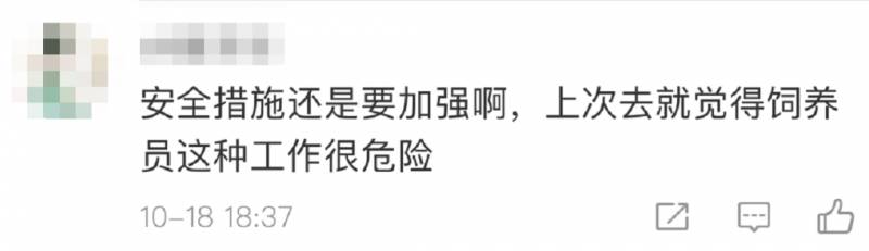 殘忍！上海動物園熊吃人，親眼目睹！新加坡也發生過類似案件！印度最慘