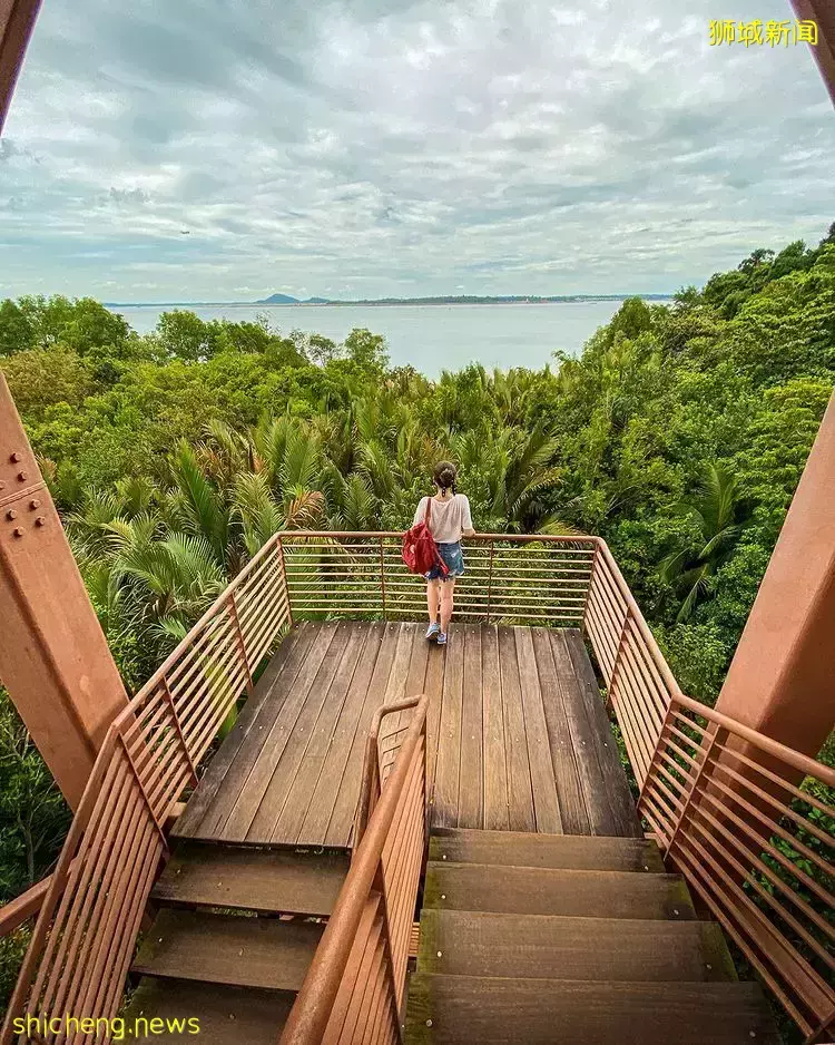 走出钢骨都市，返璞归真特辑🍃精选7大自然景点，带你感受原生态新加坡🌳 