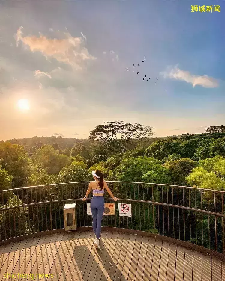 走出钢骨都市，返璞归真特辑🍃精选7大自然景点，带你感受原生态新加坡🌳 