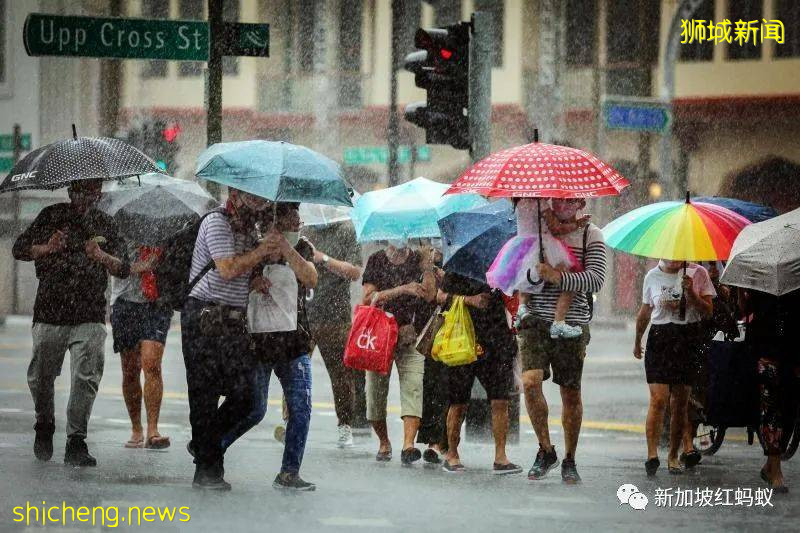 全球气温上升祸害多，新加坡恐难避免更多强风暴雨