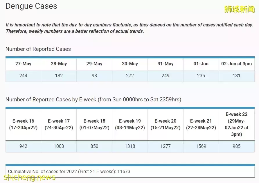6月骨痛热症历史高峰！新加坡每周出现超2000多起病例
