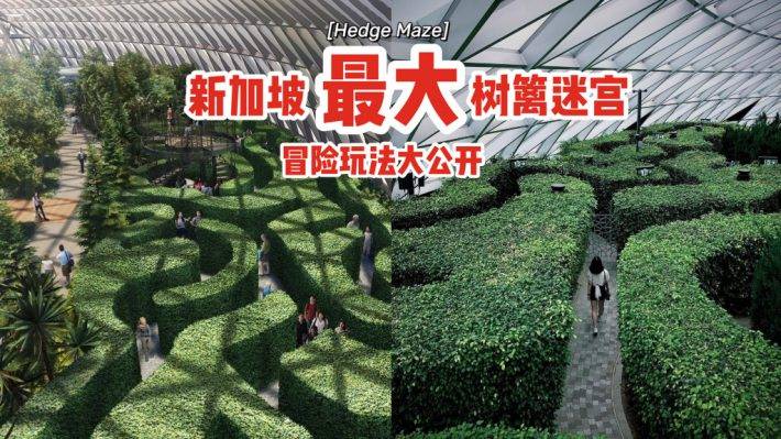 本地版爱丽丝梦境🧚🏻‍♀️Hedge Maze树篱迷宫冒险玩法大公开⚡暗藏惊喜，人过花开🌺