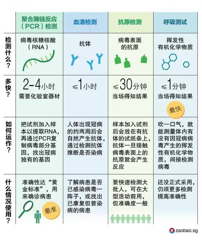 新加坡冠病检测多达143种 哪个最“快狠准”