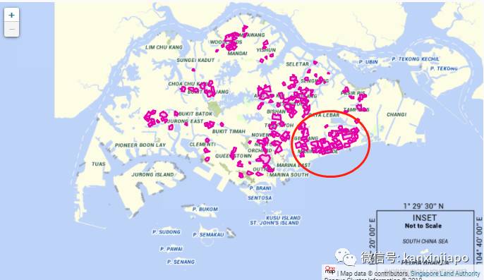 新加坡近3万人患骨痛热！毒蚊带走健康母亲，入院11天生离死别