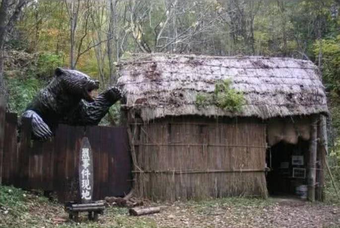 殘忍！上海動物園熊吃人，親眼目睹！新加坡也發生過類似案件！印度最慘