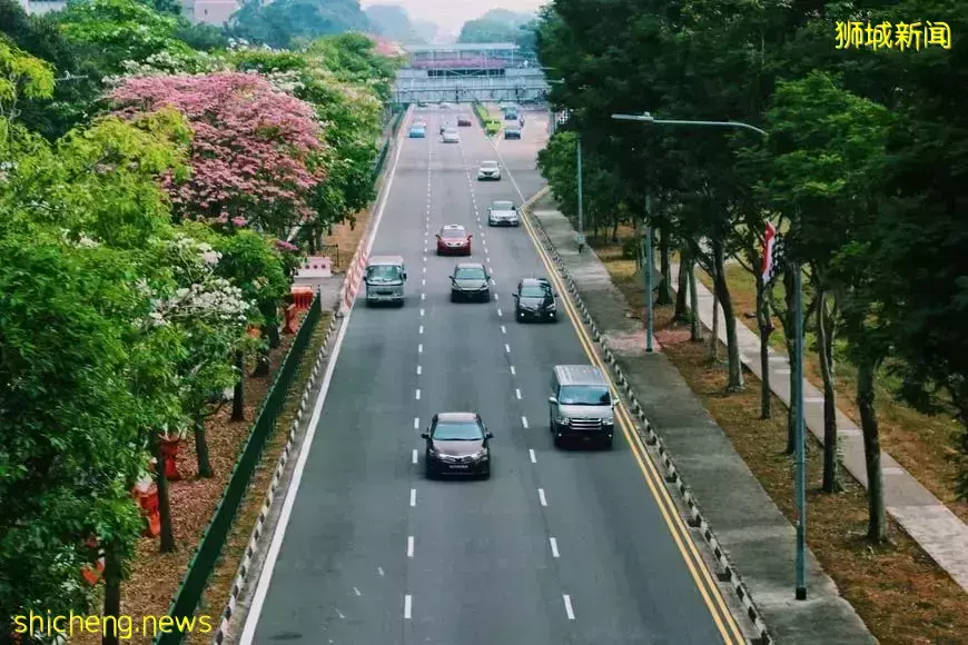 敢在这个国家扔垃圾，够你倾家荡产的