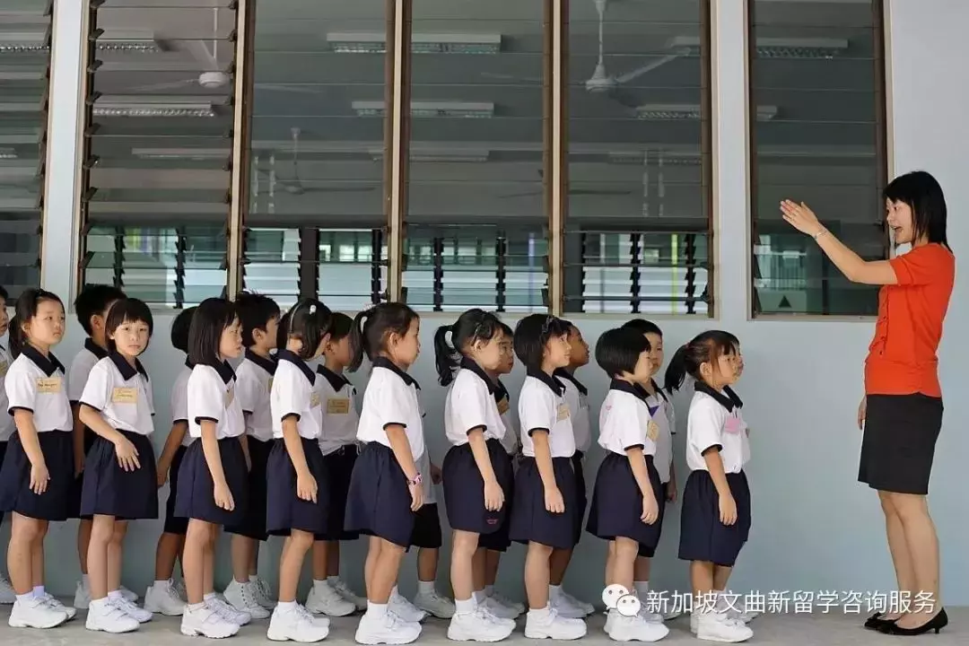 新加坡成低龄留学生的“香饽饽”，为什么越早越好