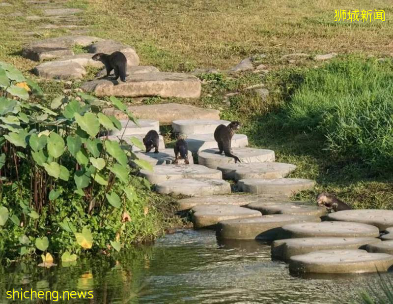 新加坡河道景观 · 赏析