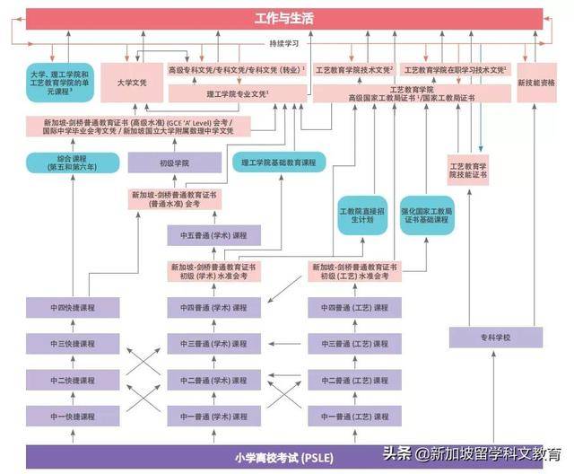 2021年新加坡小学离校考试时间公布，新政策将影响这些学生