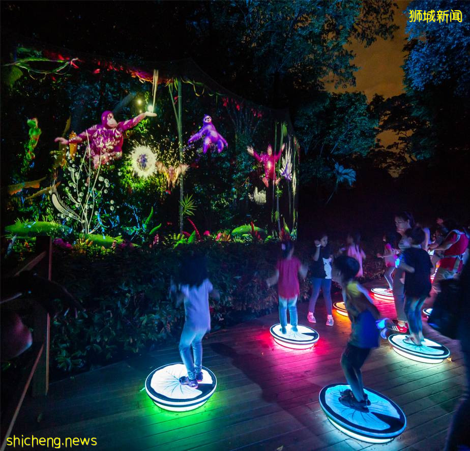 ‘幻光雨林之夜’再次登錄動物園，靈動大自然與光影魅力的交彙，最後一季不可錯過