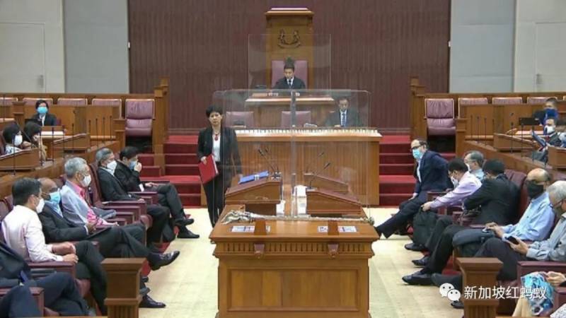 国会外的“忍者神龟”，新加坡执政党看不见的辩论对手