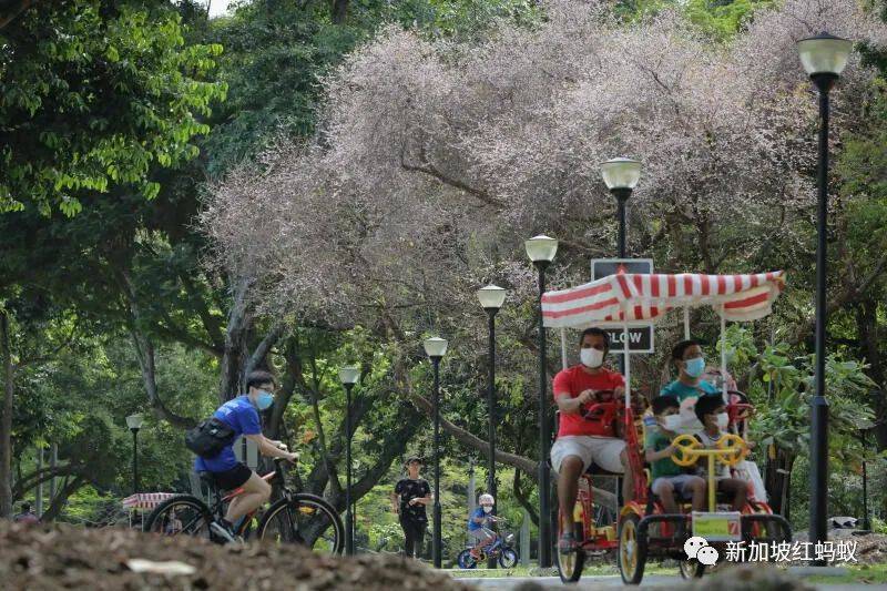 新中外长在武夷山会晤，母亲祖籍福建的维文不忘推荐大红袍