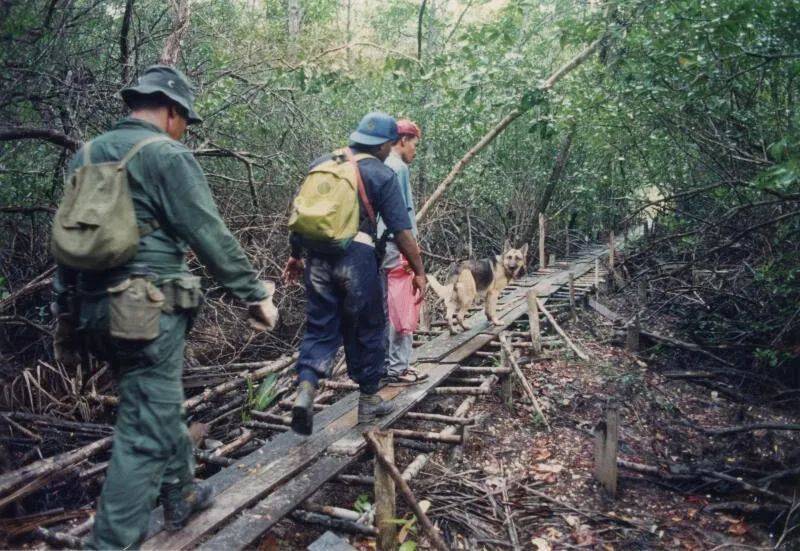 跑到孤岛冥想，新加坡教师深山内失踪！26年音信全无