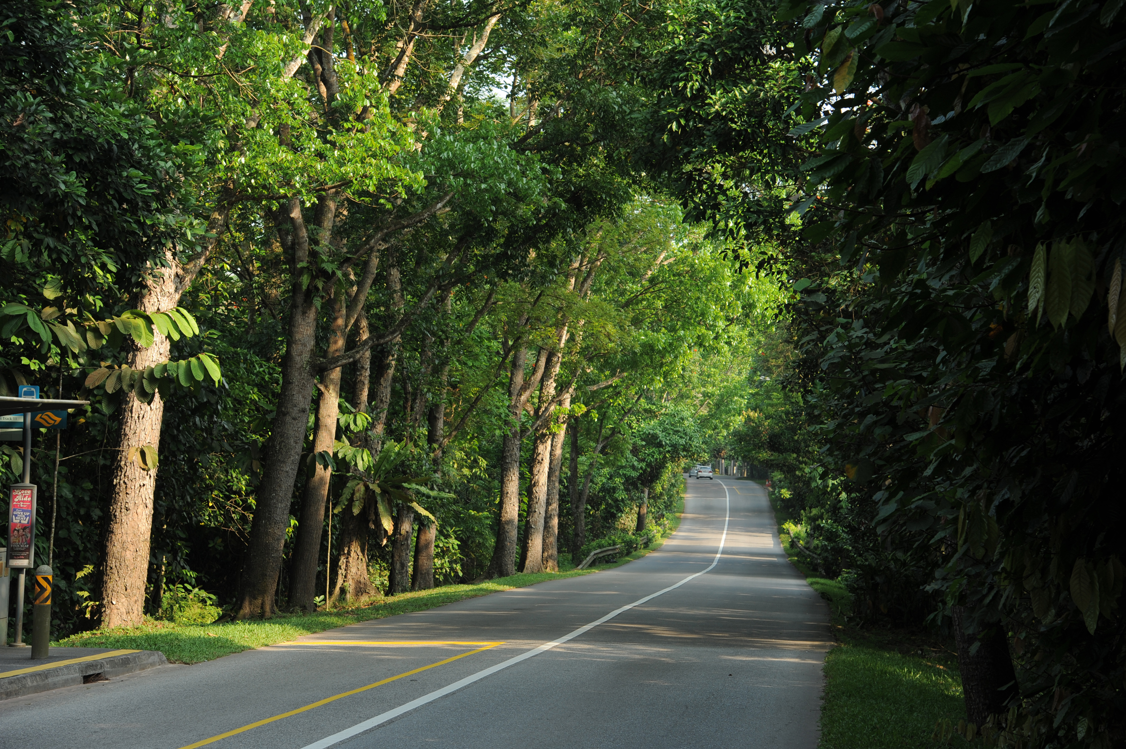 20180705limchukangRoad.jpg