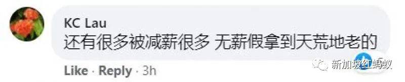 在獅城被裁退的20萬馬來西亞柔州人　能如願找到下一份工作嗎