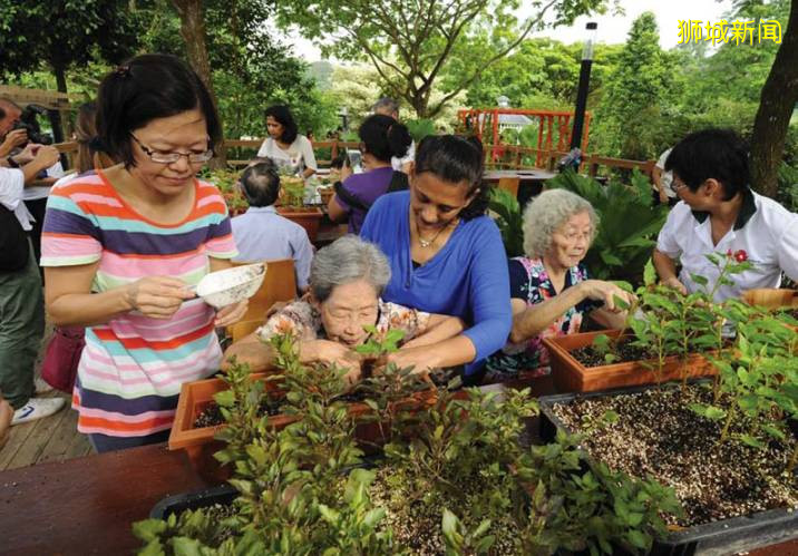 調研實踐 新加坡公園康療花園體系