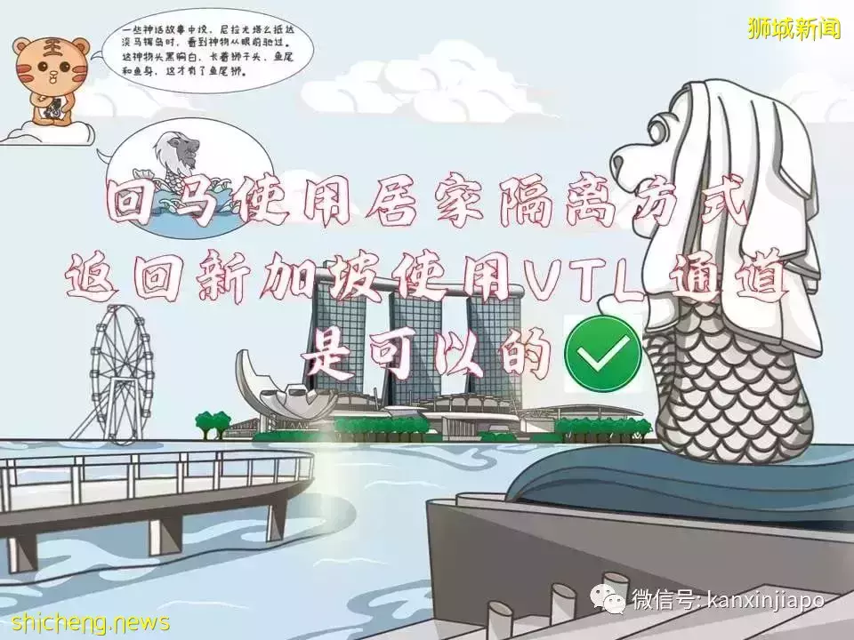 最新攻略！抢不到VTL车票，但还是想回马国过年怎么办