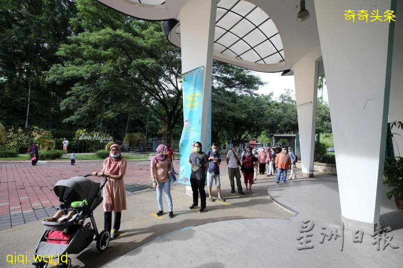 全年免費票超搶手．國家動物園甫開放現人龍!