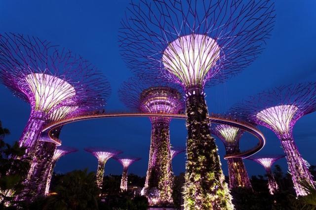 新加坡自由行全攻略，带你逛吃狮城