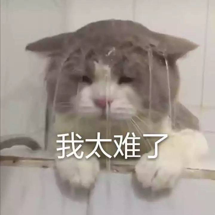 下雨天☔️冷冷冷，最适合雨天的热乎美食大盘点～暖心又暖胃