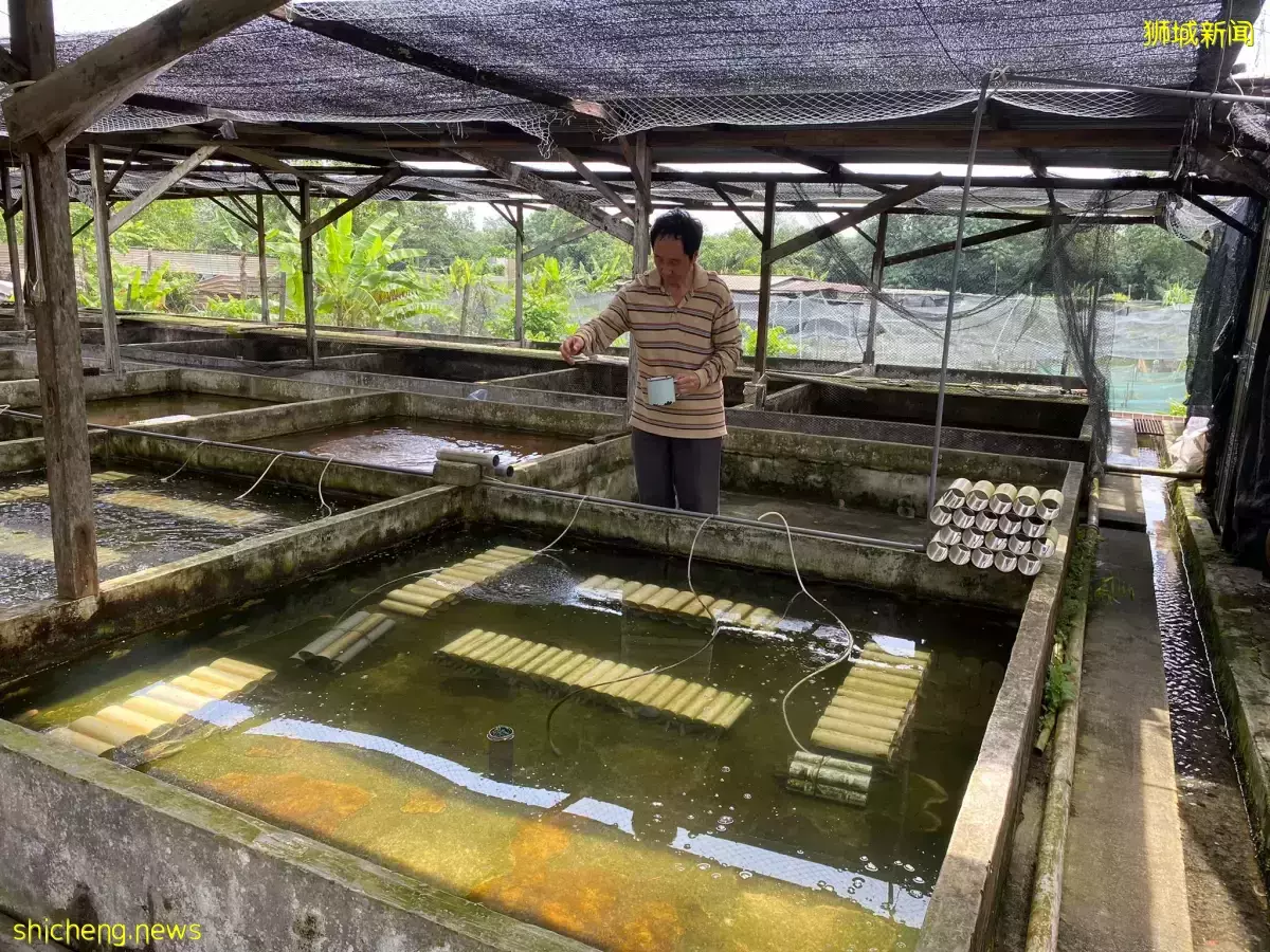 餐饮趋势见机遇 五金行老板开设本地最大小龙虾养殖场 