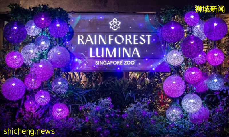 新加坡动物园沉浸式多媒体夜行体验“RAINFOREST LUMINA”｜CAAPA周末分享