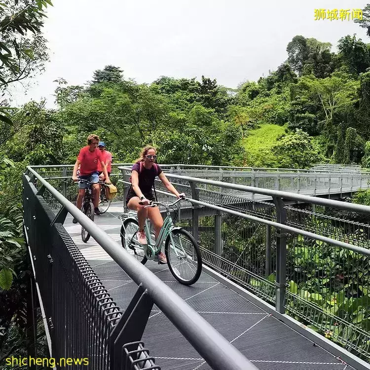 走出钢骨都市，返璞归真特辑🍃精选7大自然景点，带你感受原生态新加坡🌳 