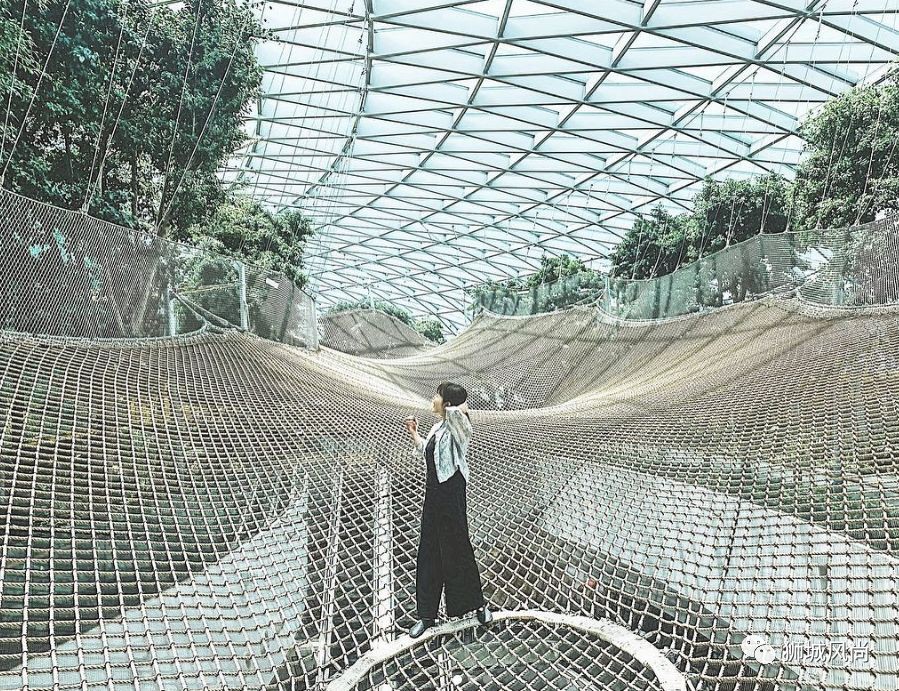 Jewel now offers free entry to canopy park from now till 31 Mar