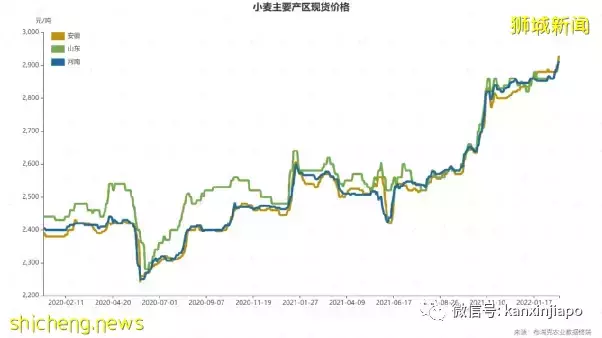 全面涨价！新加坡的食品、电气、粮油...还会更贵；新元兑人民币汇率微跌回升